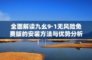 全面解读九幺9·1无风险免费版的安装方法与优势分析