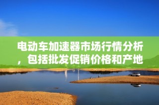 电动车加速器市场行情分析，包括批发促销价格和产地信息详解