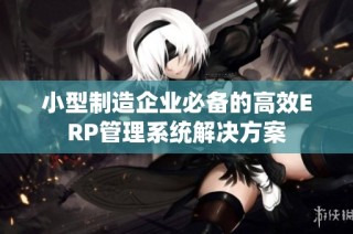 小型制造企业必备的高效ERP管理系统解决方案