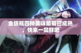 金银瓶四种美味葡萄已成熟，快来一尝鲜吧