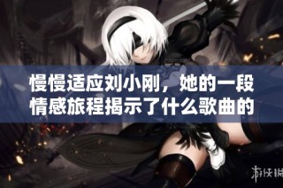 慢慢适应刘小刚，她的一段情感旅程揭示了什么歌曲的内涵