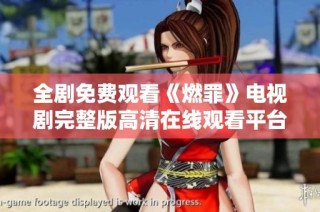 全剧免费观看《燃罪》电视剧完整版高清在线观看平台推荐