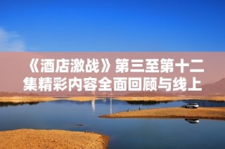《酒店激战》第三至第十二集精彩内容全面回顾与线上播放攻略