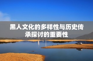 黑人文化的多样性与历史传承探讨的重要性