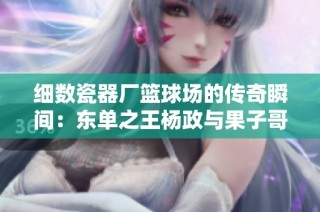 细数瓷器厂篮球场的传奇瞬间：东单之王杨政与果子哥精准跳投之战