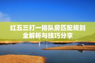 红五三打一排队房匹配规则全解析与技巧分享