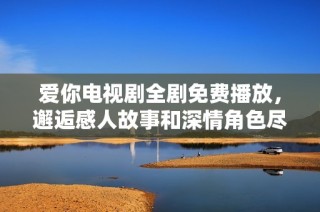 爱你电视剧全剧免费播放，邂逅感人故事和深情角色尽在其中