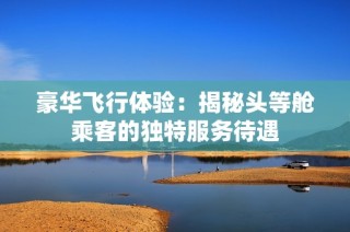 豪华飞行体验：揭秘头等舱乘客的独特服务待遇