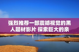 强烈推荐一部震撼视觉的黑人题材影片 探索巨大的亲密体验
