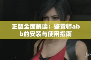 正版全面解读：鉴黄师abb的安装与使用指南