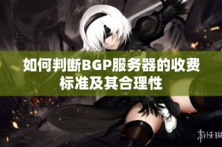 如何判断BGP服务器的收费标准及其合理性
