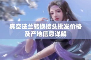 真空法兰转换接头批发价格及产地信息详解