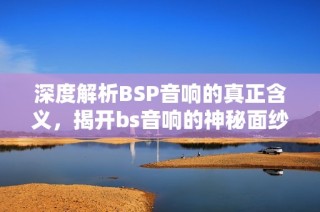 深度解析BSP音响的真正含义，揭开bs音响的神秘面纱
