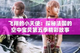 飞翔的小天使：探秘法国的空中宝贝第五季精彩故事