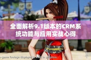 全面解析9.1版本的CRM系统功能与应用实战心得