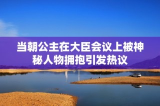 当朝公主在大臣会议上被神秘人物拥抱引发热议