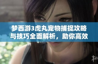 梦西游3虎丸宠物捕捉攻略与技巧全面解析，助你高效获取神宠