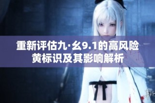 重新评估九·幺9.1的高风险黄标识及其影响解析