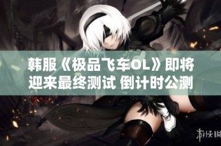 韩服《极品飞车OL》即将迎来最终测试 倒计时公测开启
