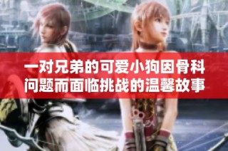 一对兄弟的可爱小狗因骨科问题而面临挑战的温馨故事
