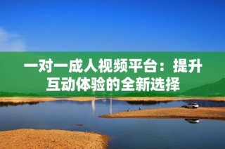 一对一成人视频平台：提升互动体验的全新选择