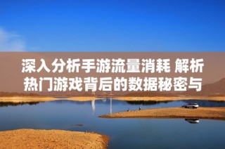 深入分析手游流量消耗 解析热门游戏背后的数据秘密与真实流量状况