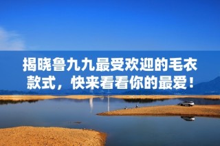 揭晓鲁九九最受欢迎的毛衣款式，快来看看你的最爱！