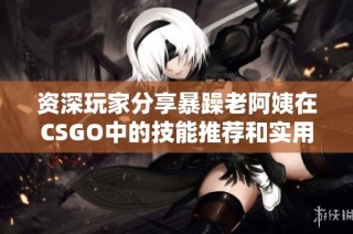 资深玩家分享暴躁老阿姨在CSGO中的技能推荐和实用技巧解析