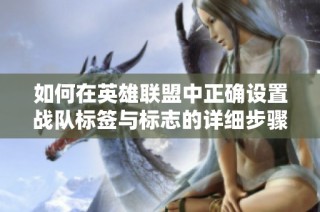 如何在英雄联盟中正确设置战队标签与标志的详细步骤