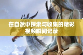 在自然中探索与收集的精彩视频瞬间记录