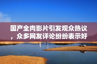 国产全肉影片引发观众热议，众多网友评论纷纷表示好评如潮