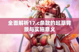 全面解析17.c条款的起草背景与实施意义