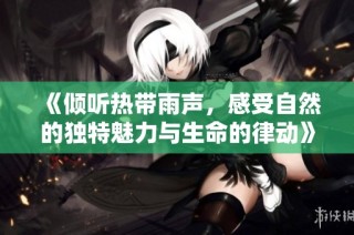 《倾听热带雨声，感受自然的独特魅力与生命的律动》