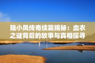 陆小凤传奇续篇揭秘：血衣之谜背后的故事与真相探寻