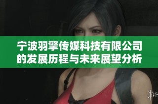 宁波羽擎传媒科技有限公司的发展历程与未来展望分析报告