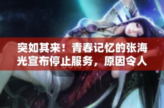 突如其来！青春记忆的张海光宣布停止服务，原因令人深思
