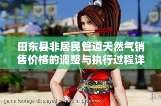 田东县非居民管道天然气销售价格的调整与执行过程详解