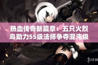 热血传奇新篇章：五只火烈鸟助力55级法师争夺混沌级项链
