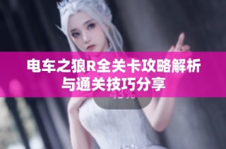 电车之狼R全关卡攻略解析与通关技巧分享