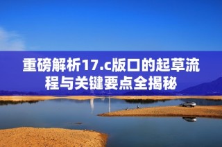 重磅解析17.c版口的起草流程与关键要点全揭秘
