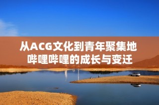 从ACG文化到青年聚集地 哔哩哔哩的成长与变迁