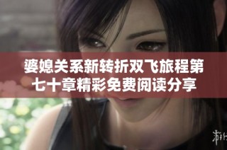 婆媳关系新转折双飞旅程第七十章精彩免费阅读分享