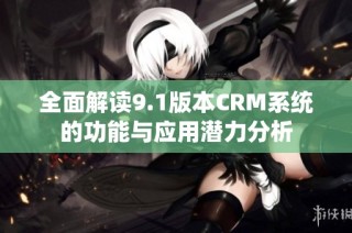 全面解读9.1版本CRM系统的功能与应用潜力分析