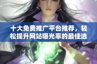 十大免费推广平台推荐，轻松提升网站曝光率的最佳选择