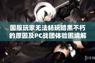 国服玩家无法畅玩暗黑不朽的原因及PC战团体验困境解析