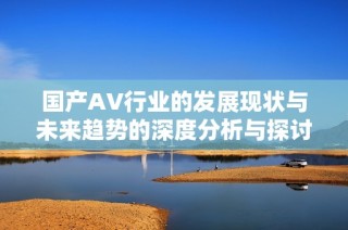 国产AV行业的发展现状与未来趋势的深度分析与探讨