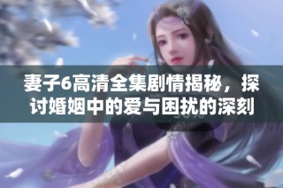 妻子6高清全集剧情揭秘，探讨婚姻中的爱与困扰的深刻内涵