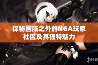 探秘国服之外的NGA玩家社区及其独特魅力
