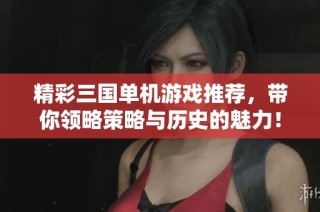 精彩三国单机游戏推荐，带你领略策略与历史的魅力！