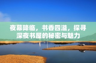夜幕降临，书香四溢，探寻深夜书屋的秘密与魅力